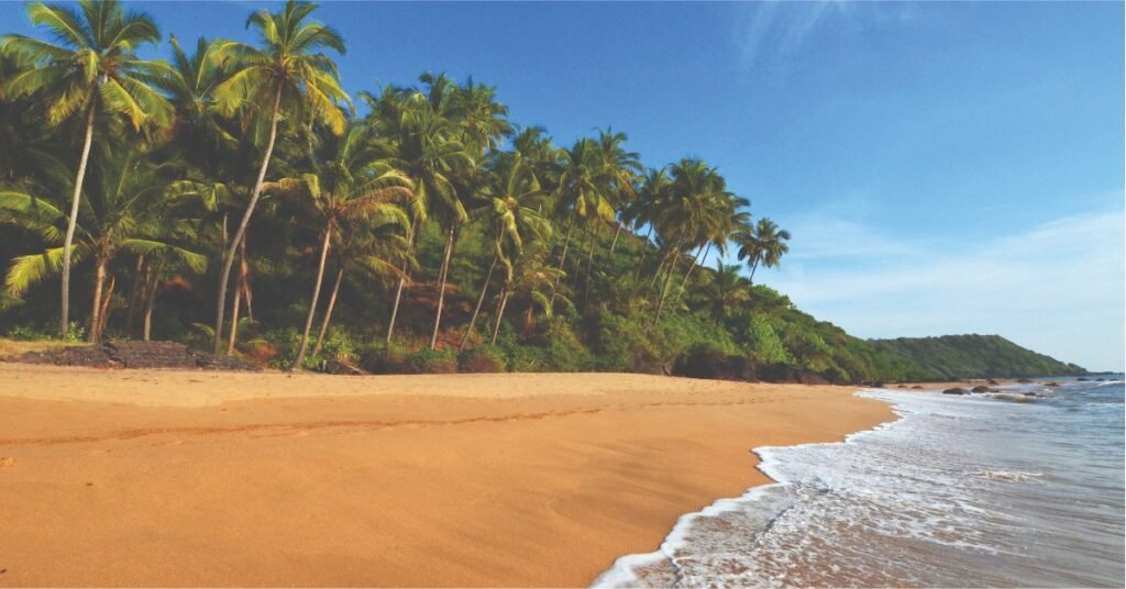 Why Choose South Goa