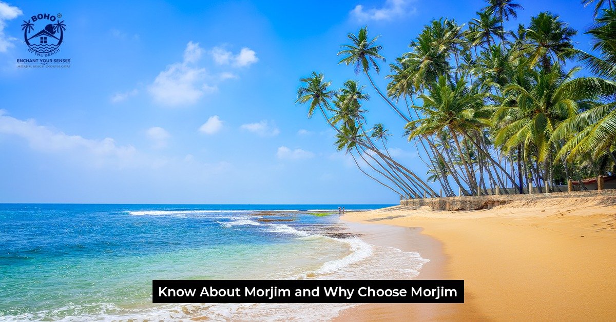 Know About Morjim and Why Choose Morjim