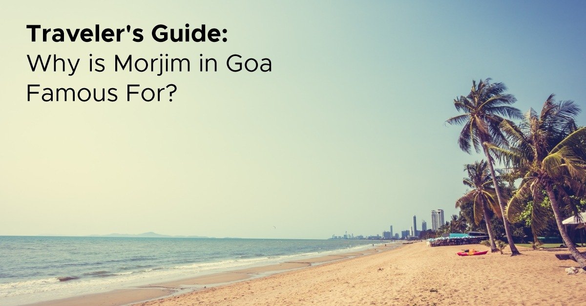 Traveler’s Guide: Why is Morjim in Goa Famous For?