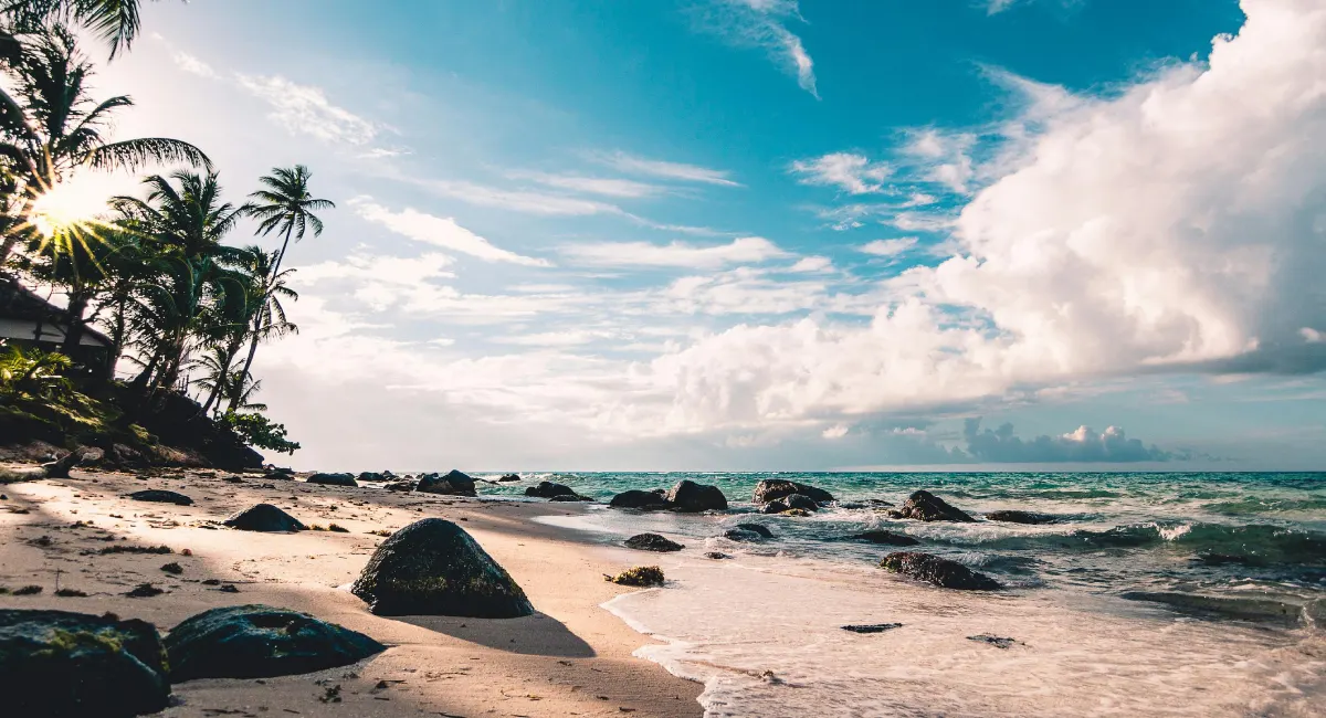 beach resort in Morjim Goa