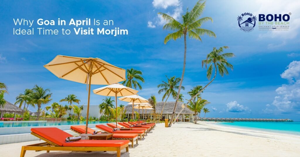 Best Resort in Morjim